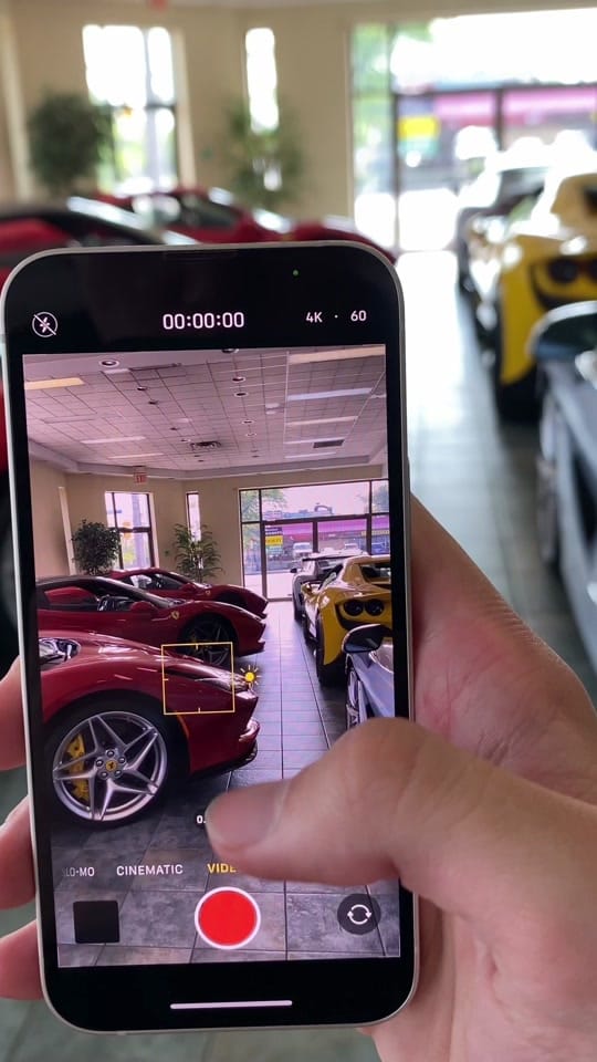 Post 6 by Lunar Exotics on TikTok (video)