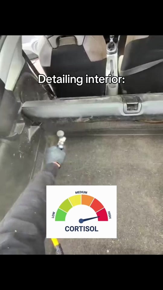 Post 1 by Panda Hub on TikTok (video)