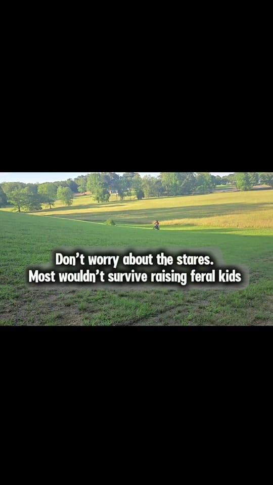 Post 4 by Miranda Poole on TikTok (video)