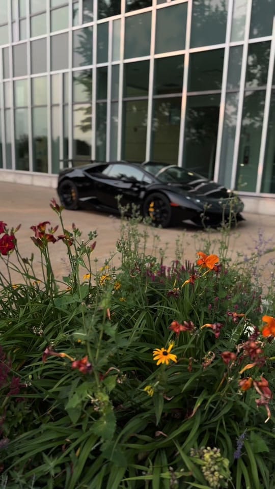Post 6 by Branagh on TikTok (video)