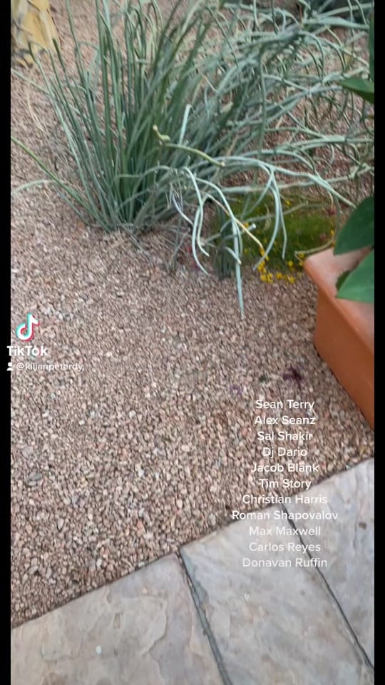Post 3 by Kilian Peterdy on TikTok (video)