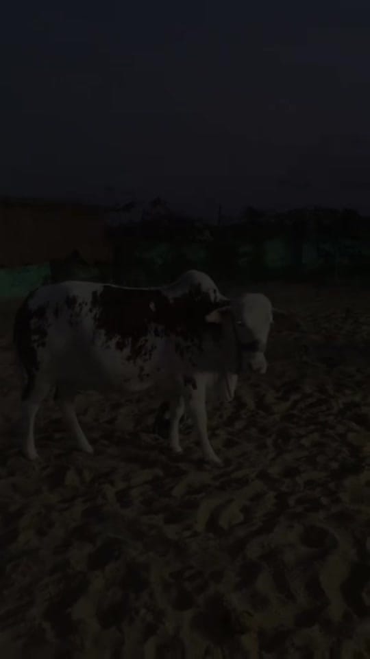 Post 6 by Usama Khan on TikTok (video)