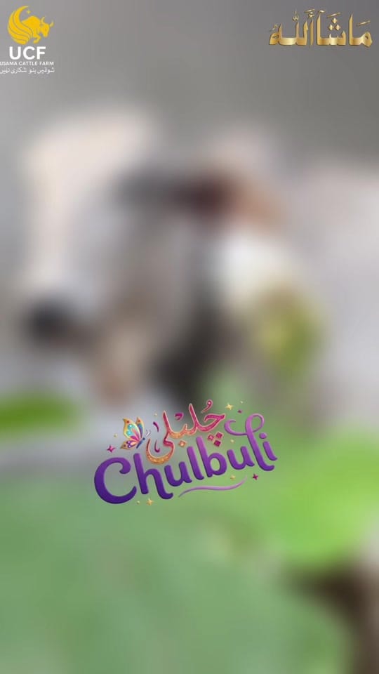 Post 4 by Usama Khan on TikTok (video)