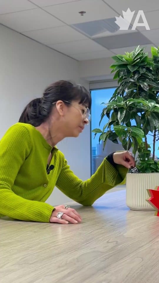 Post 5 by AutoTrader on TikTok (video)