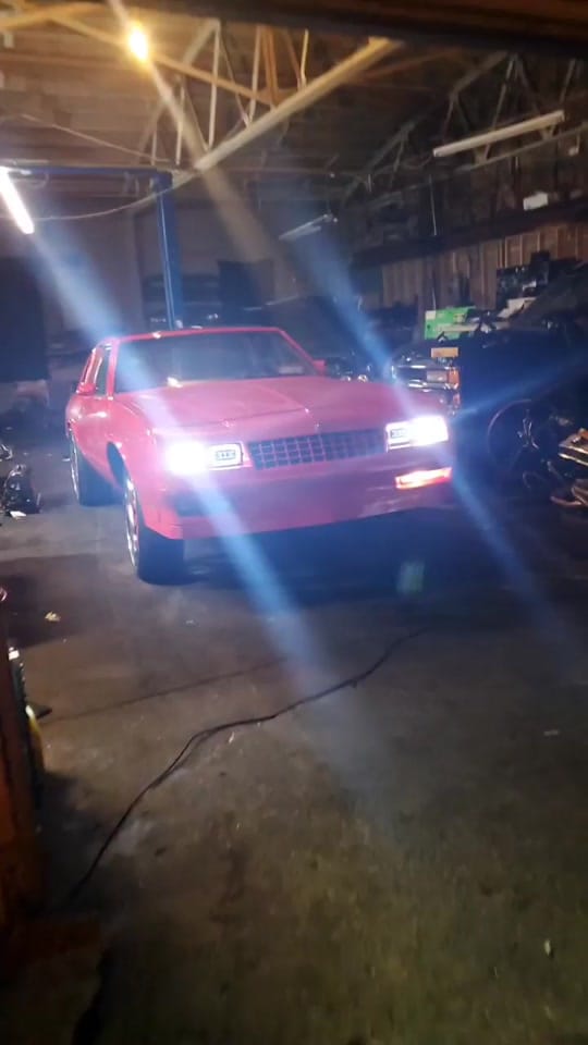 Post 7 by MoneyTree15x107 on TikTok (video)