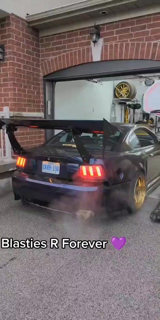 Post 4 by MisfitsDrift on TikTok (video)