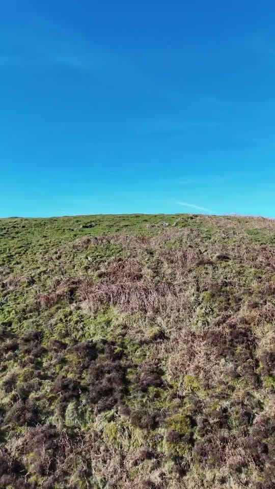 Post 8 by Tom on TikTok (video)