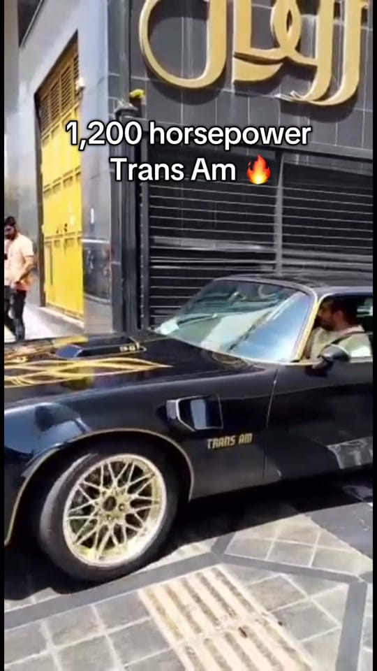 Post 9 by The TN Bandit 🤠 on TikTok (video)