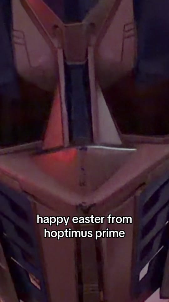 Post 2 by ellie on TikTok (video)