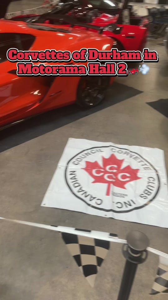 Post 3 by Motorama Show on TikTok (video)