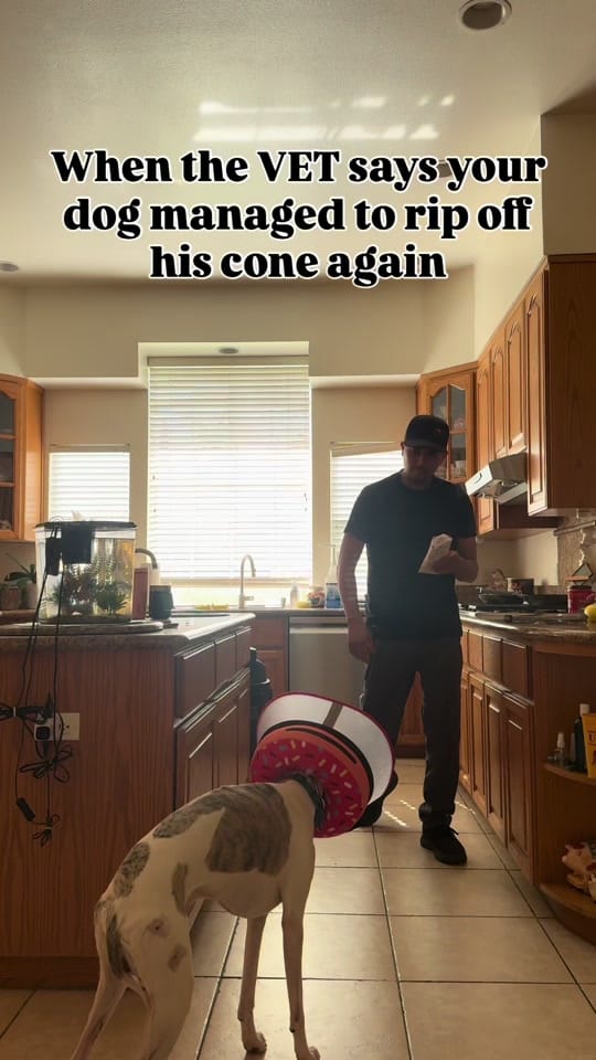 Post 7 by Jon on TikTok (video)