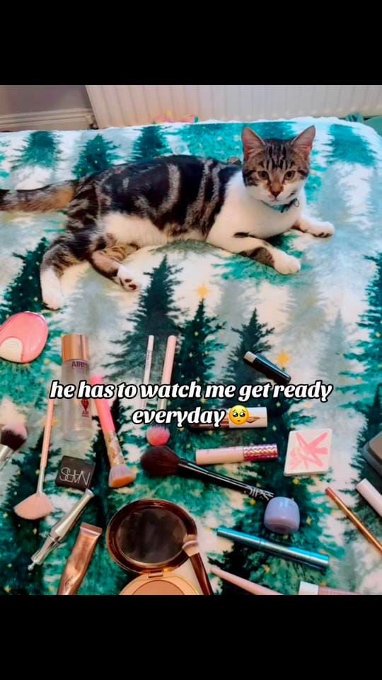 Post 5 by Leah McC ˚.🎀༘⋆ on TikTok (video)
