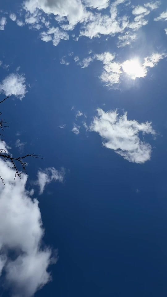 Post 8 by AutoPlanet.ca on TikTok (video)