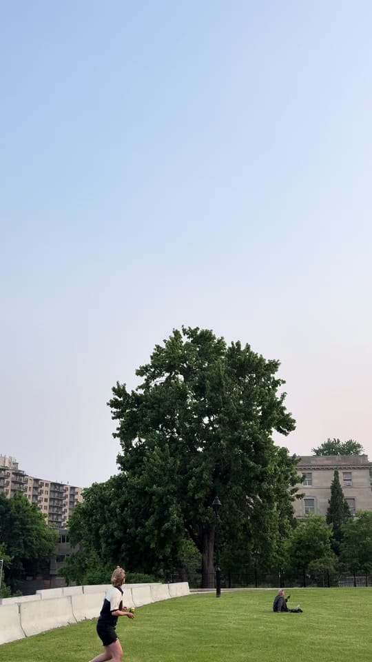 Post 2 by Allon on TikTok (video)