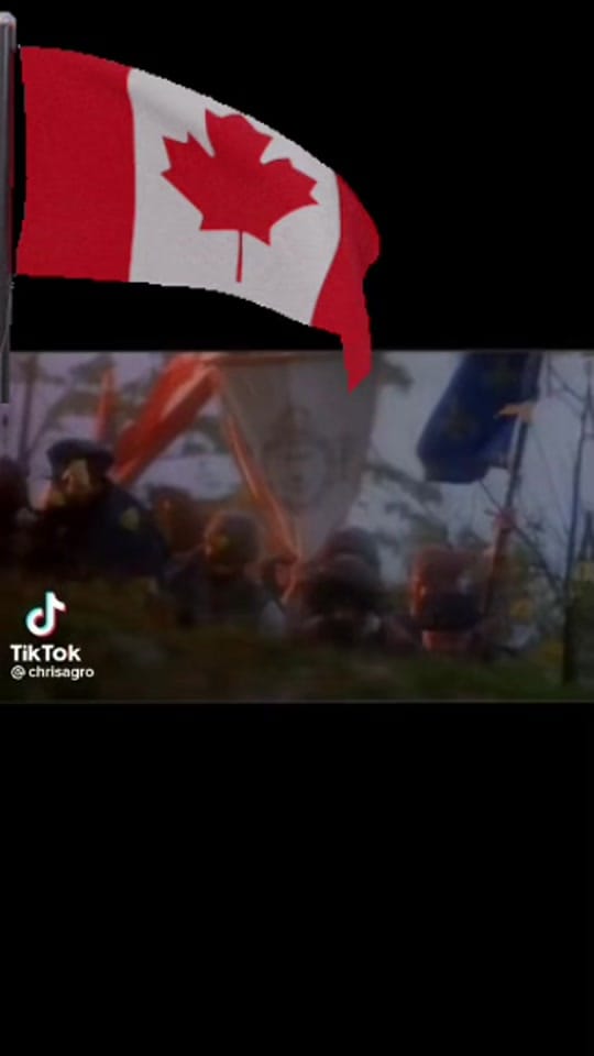 Post 9 by Nathan 🇨🇦🪶 ©️1985 on TikTok (video)