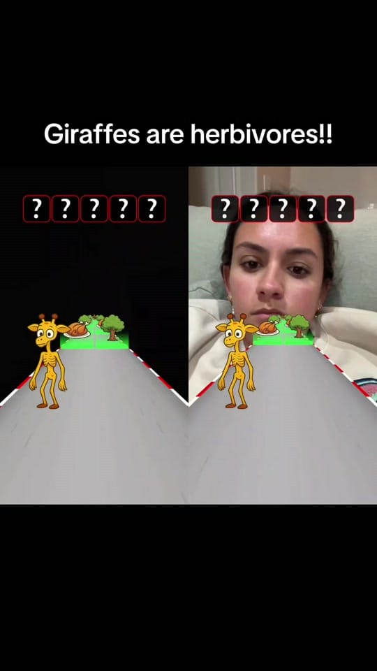 Post 3 by Nathan 🇨🇦🪶 ©️1985 on TikTok (video)