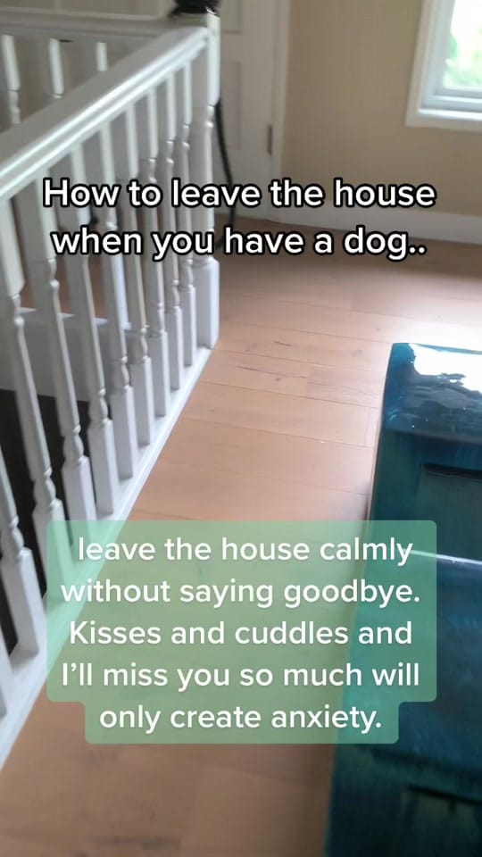 Post 10 by Charlotte Hutchinson on TikTok (video)