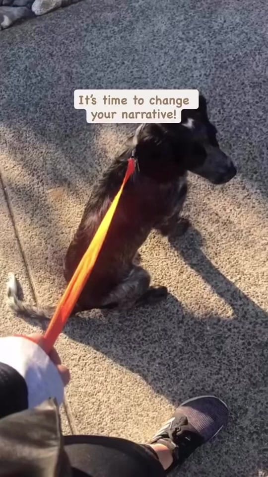 Post 7 by Charlotte Hutchinson on TikTok (video)