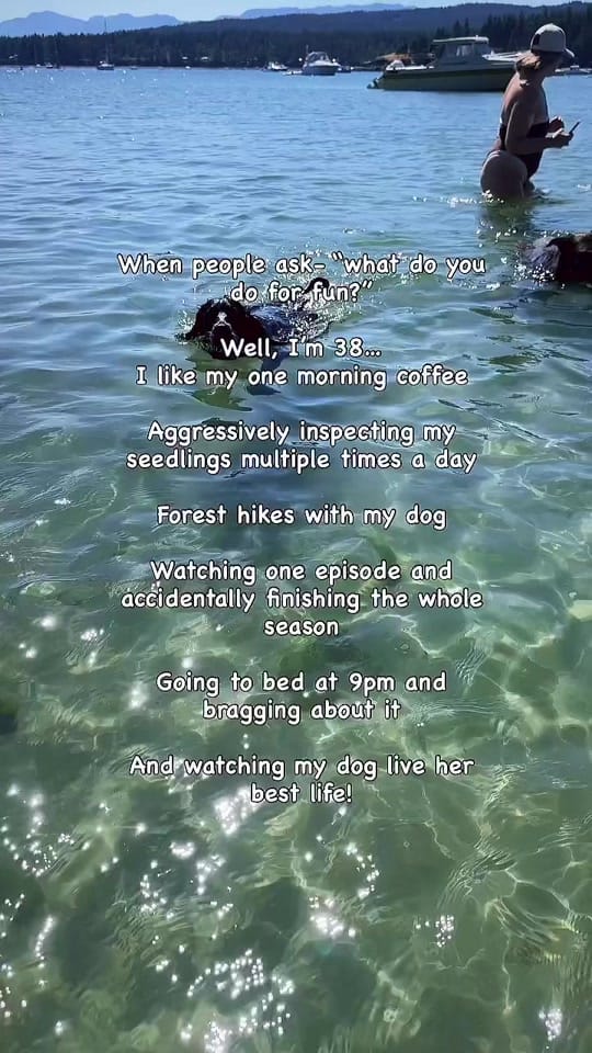 Post 5 by Charlotte Hutchinson on TikTok (video)