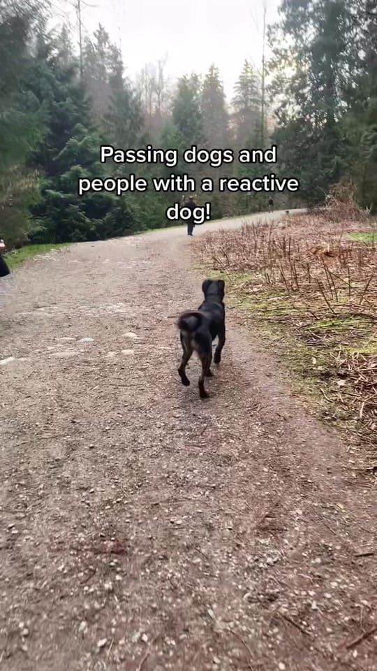 Post 9 by Charlotte Hutchinson on TikTok (video)