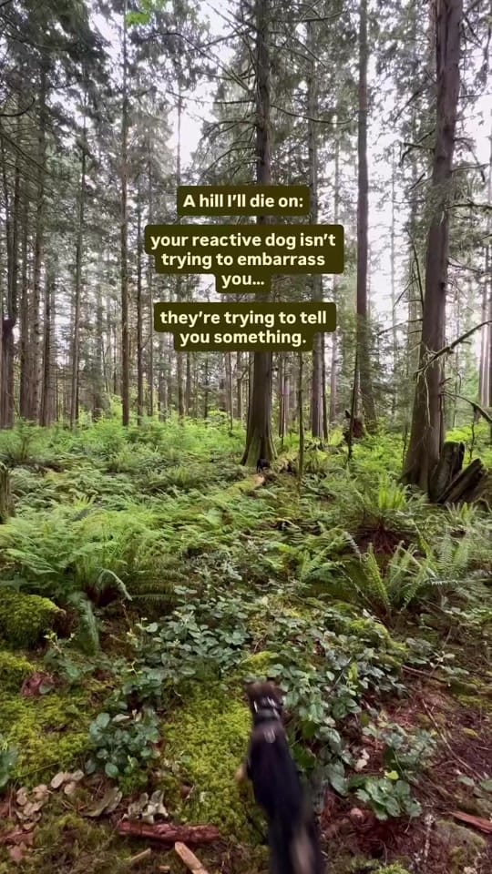 Post 2 by Charlotte Hutchinson on TikTok (video)