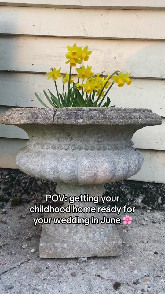 Post 9 by Alex | Barnston Lodge on TikTok (video)