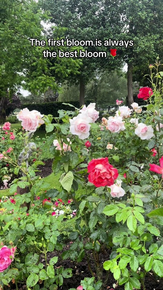 Post 2 by Alex | Barnston Lodge on TikTok (video)