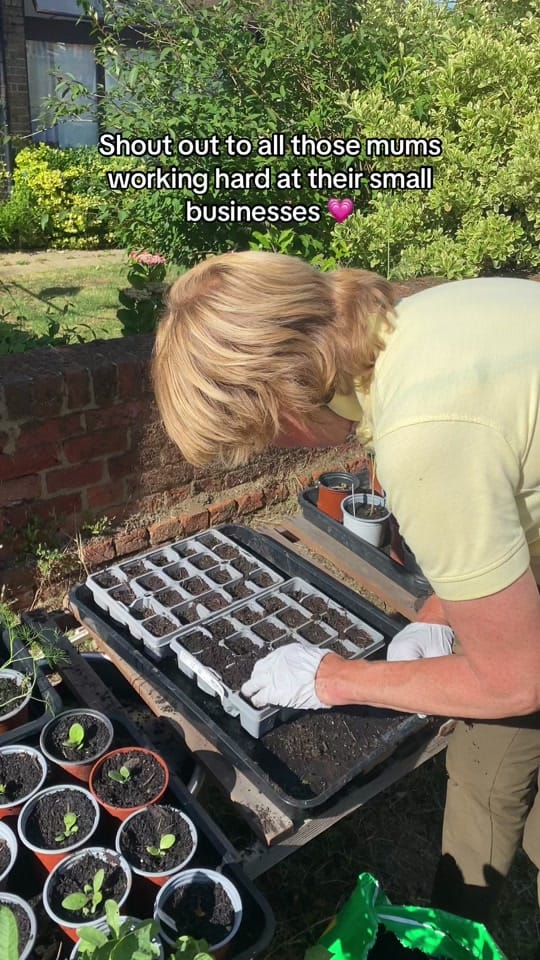 Post 3 by Alex | Barnston Lodge on TikTok (video)