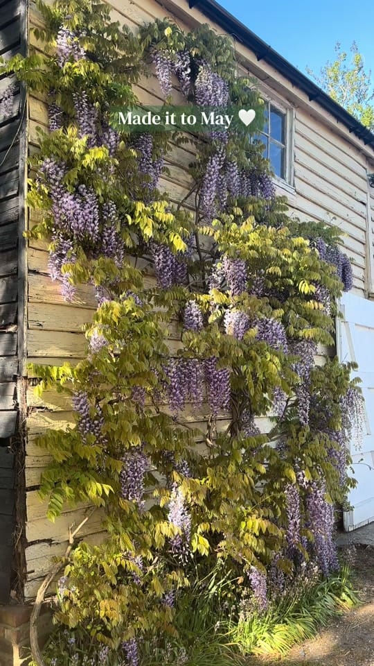 Post 5 by Alex | Barnston Lodge on TikTok (video)