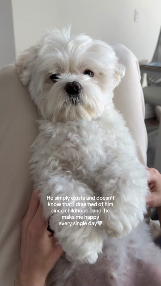Post 2 by Weni on TikTok (video)