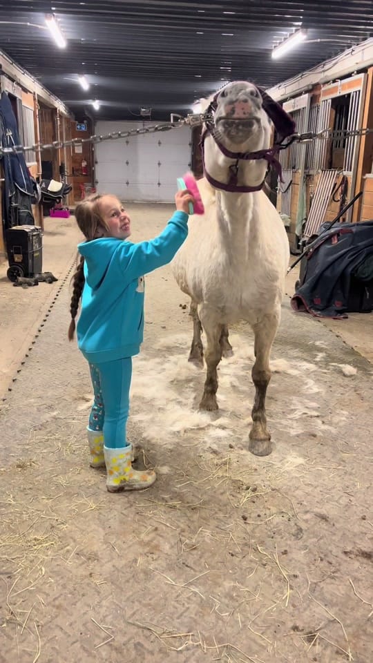 Post 3 by Jennifay Blackburn on TikTok (video)
