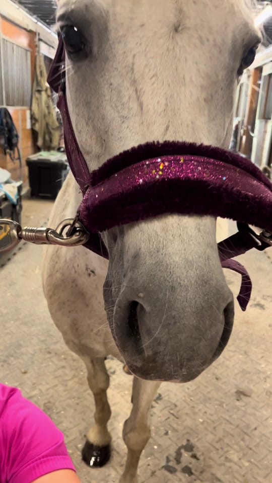 Post 1 by Jennifay Blackburn on TikTok (video)