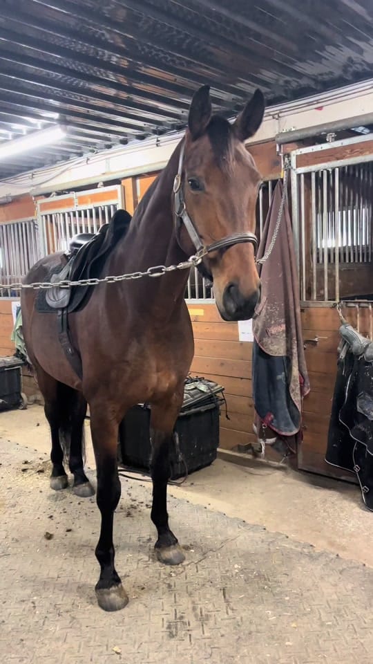 Post 6 by Jennifay Blackburn on TikTok (video)