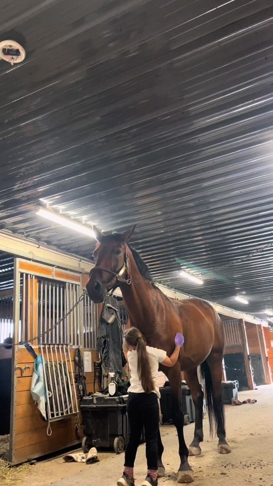 Post 2 by Jennifay Blackburn on TikTok (video)