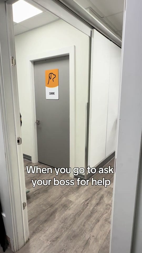 Post 2 by Hastings Veterinary Hospital on TikTok (video)