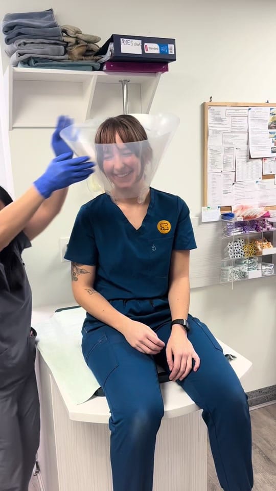 Post 5 by Hastings Veterinary Hospital on TikTok (video)