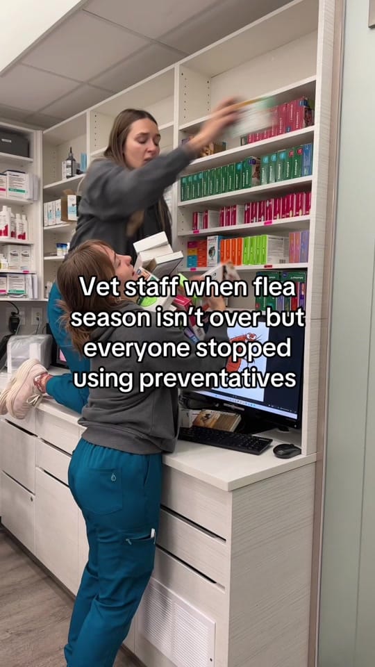 Post 7 by Hastings Veterinary Hospital on TikTok (video)