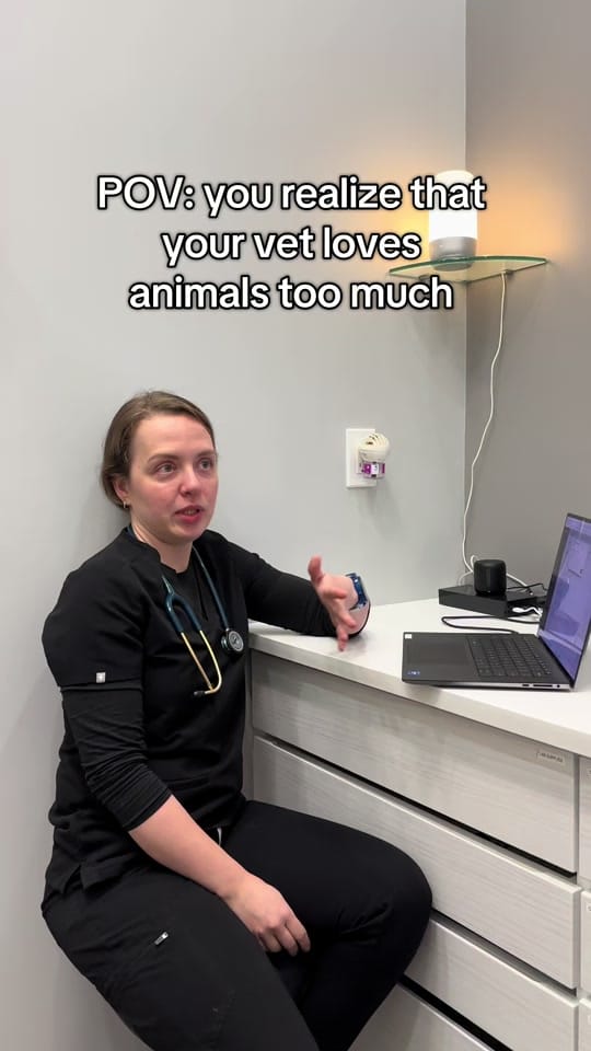 Post 3 by Hastings Veterinary Hospital on TikTok (video)