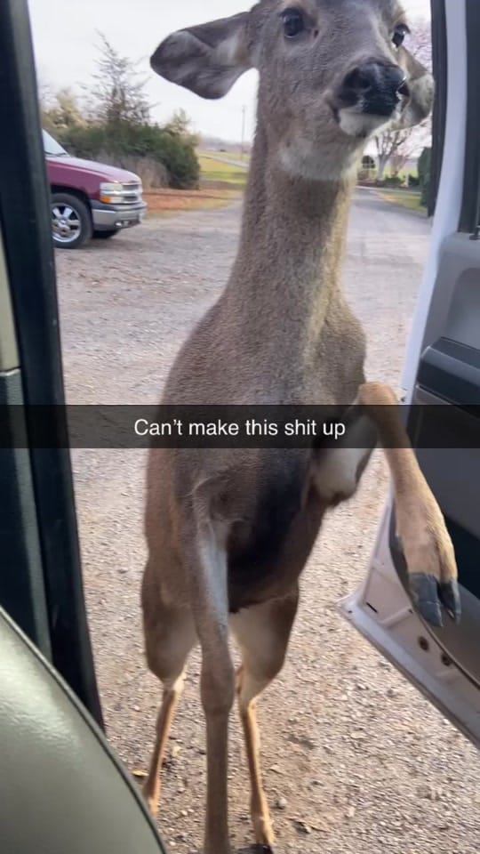 Post 2 by Carson Sousa on TikTok (video)