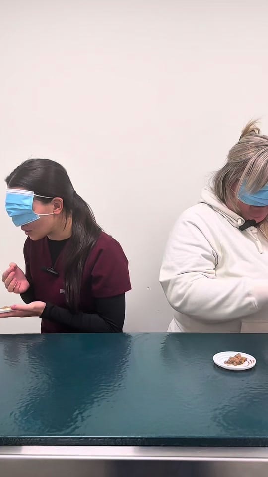 Post 4 by Hastings Veterinary Hospital on TikTok (video)