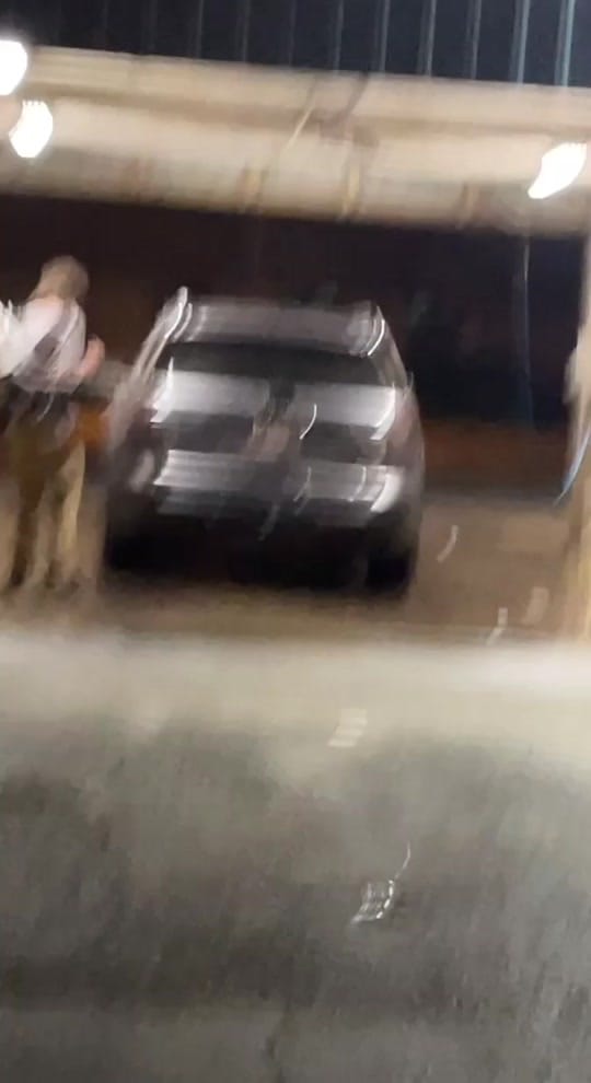 Post 8 by Gregory Morris on TikTok (video)