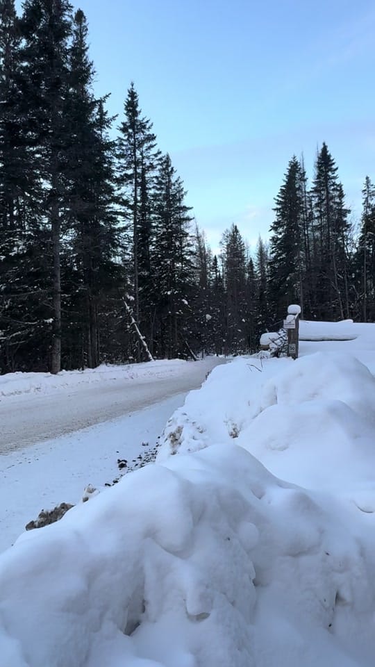 Post 8 by nikkilipi on TikTok (video)