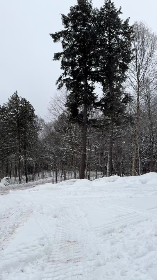 Post 5 by nikkilipi on TikTok (video)