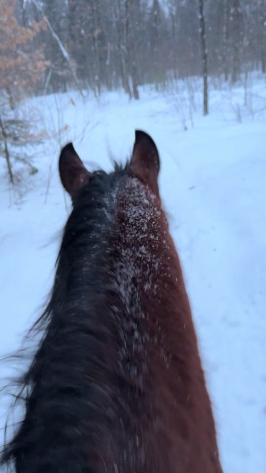 Post 4 by nikkilipi on TikTok (video)