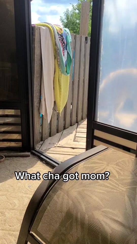 Post 10 by Meowma🇨🇦 on TikTok (video)