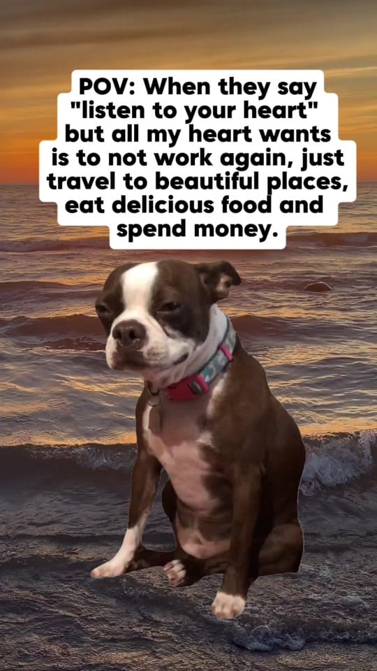 Post 5 by Meowma🇨🇦 on TikTok (video)