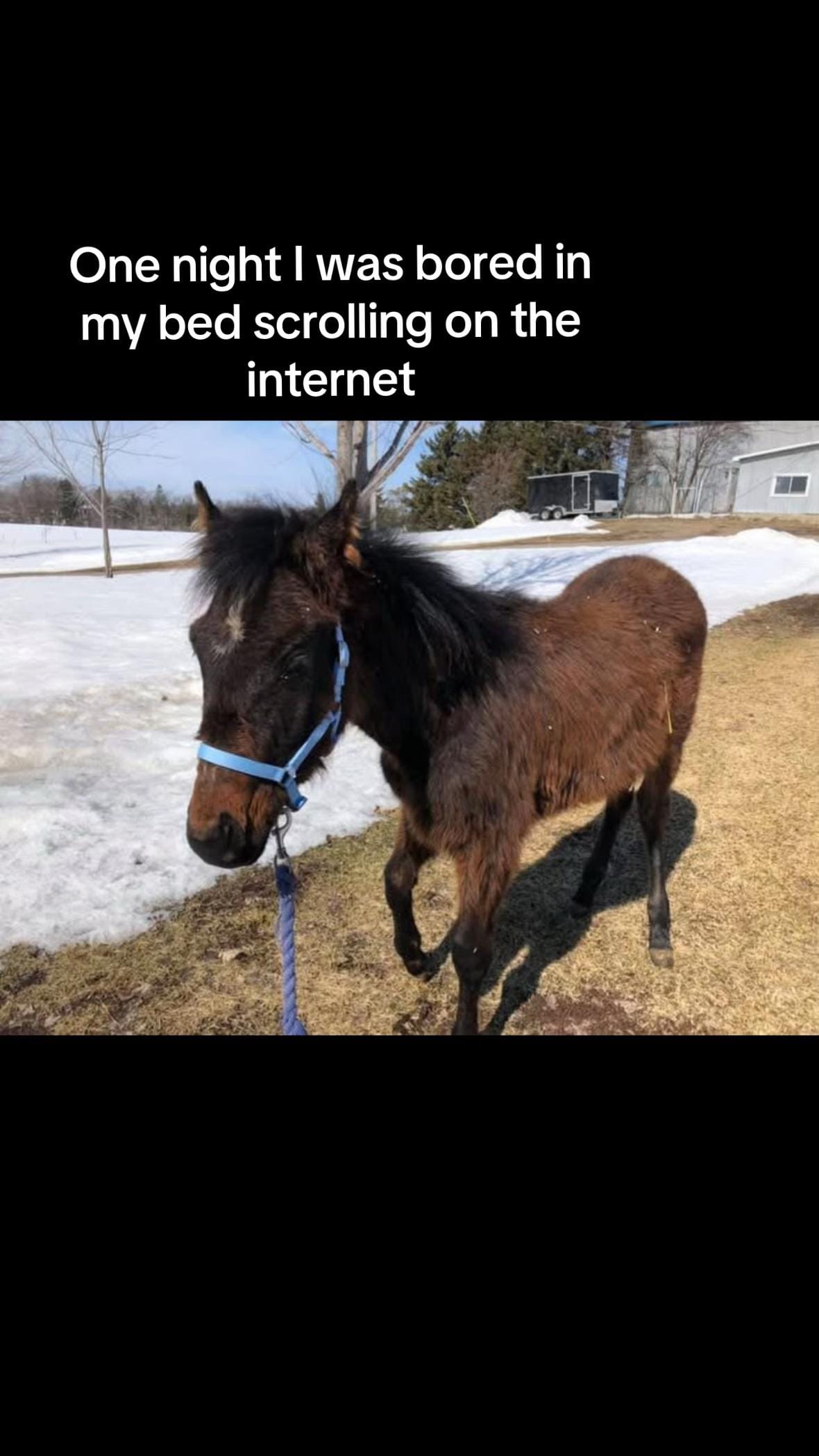 Post 2 by Catherine Leduc on TikTok (video)