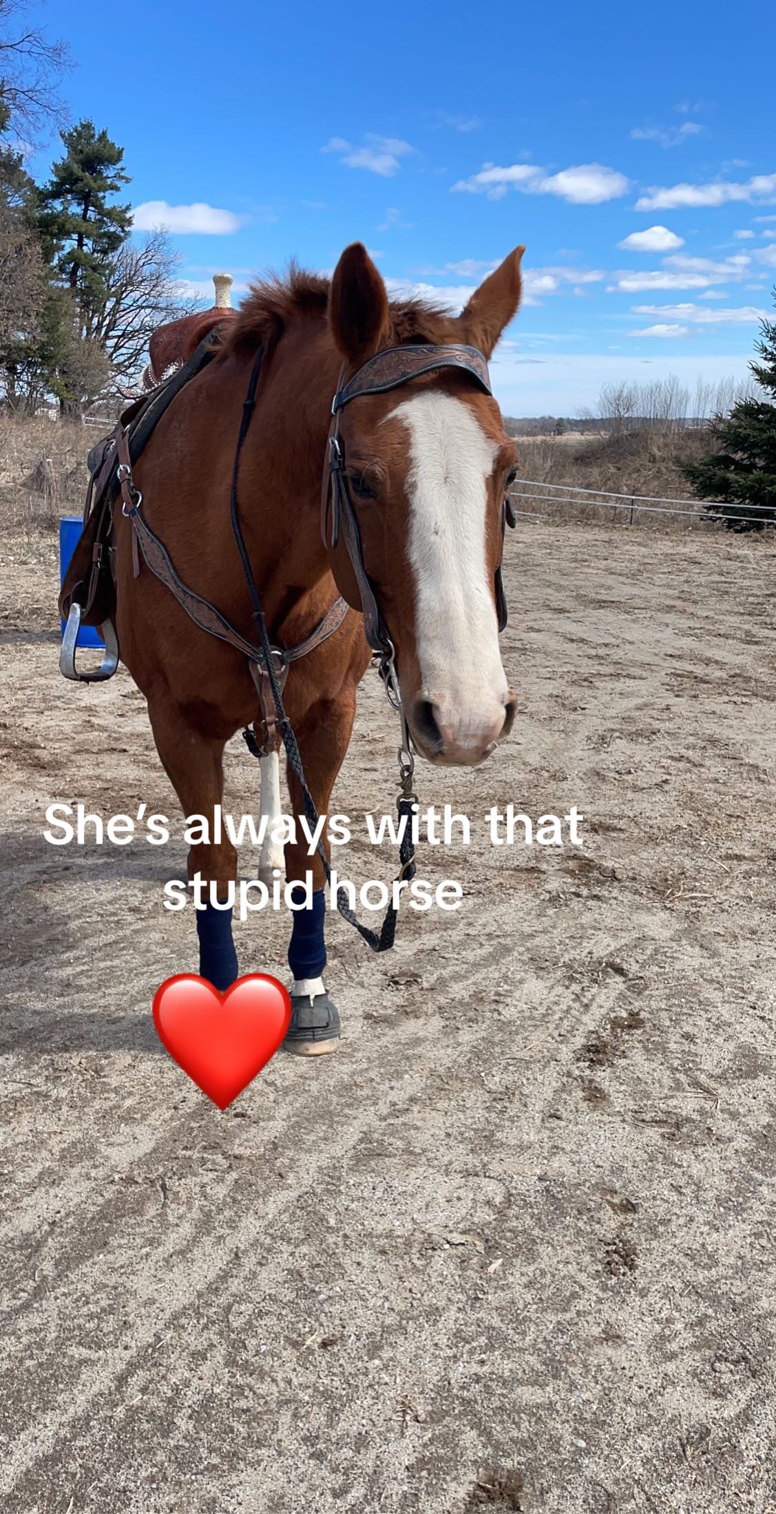 Post 10 by Catherine Leduc on TikTok (video)