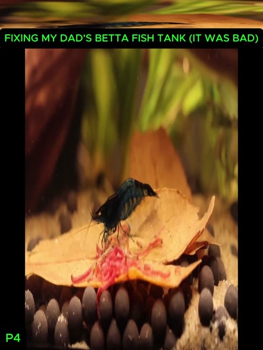 Post 5 by oldschool on TikTok (video)