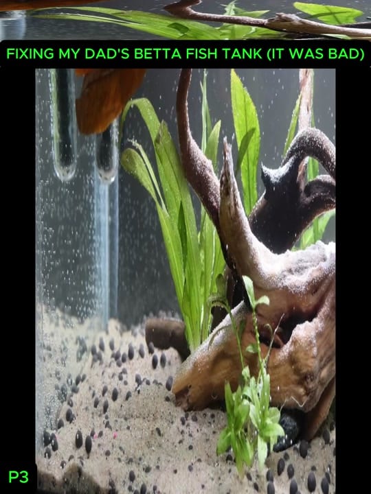 Post 6 by oldschool on TikTok (video)